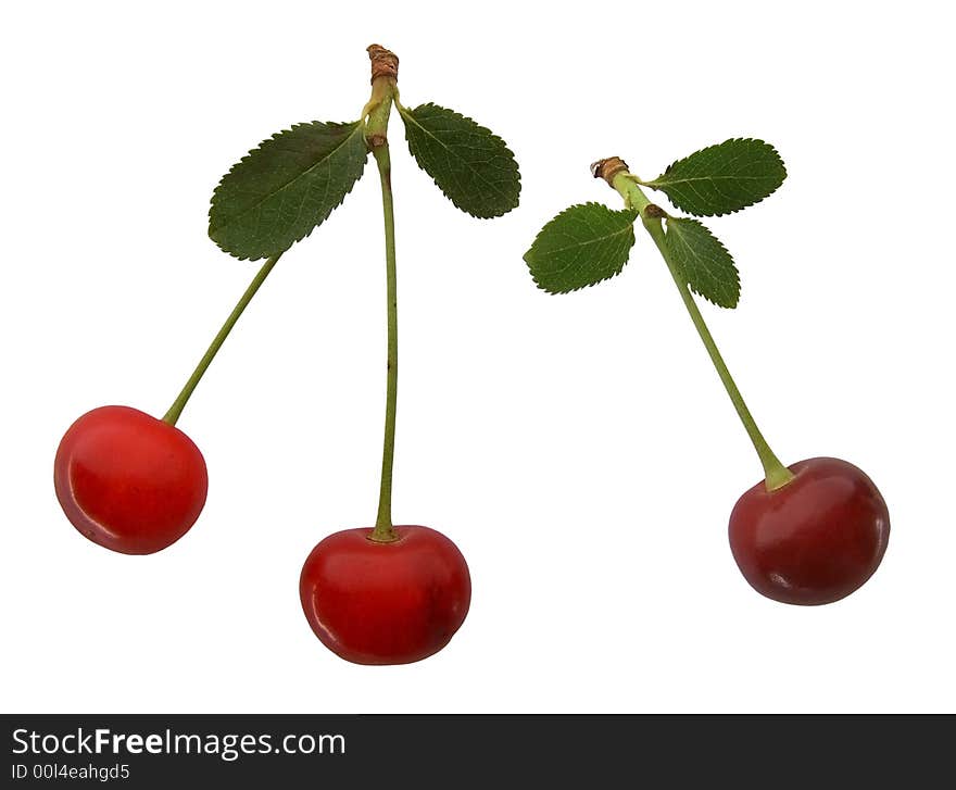 Red cherry isolated on white background. Red cherry isolated on white background