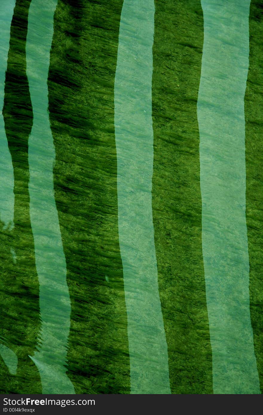 Background with river, green, clear, wave, reflection, lines. Background with river, green, clear, wave, reflection, lines