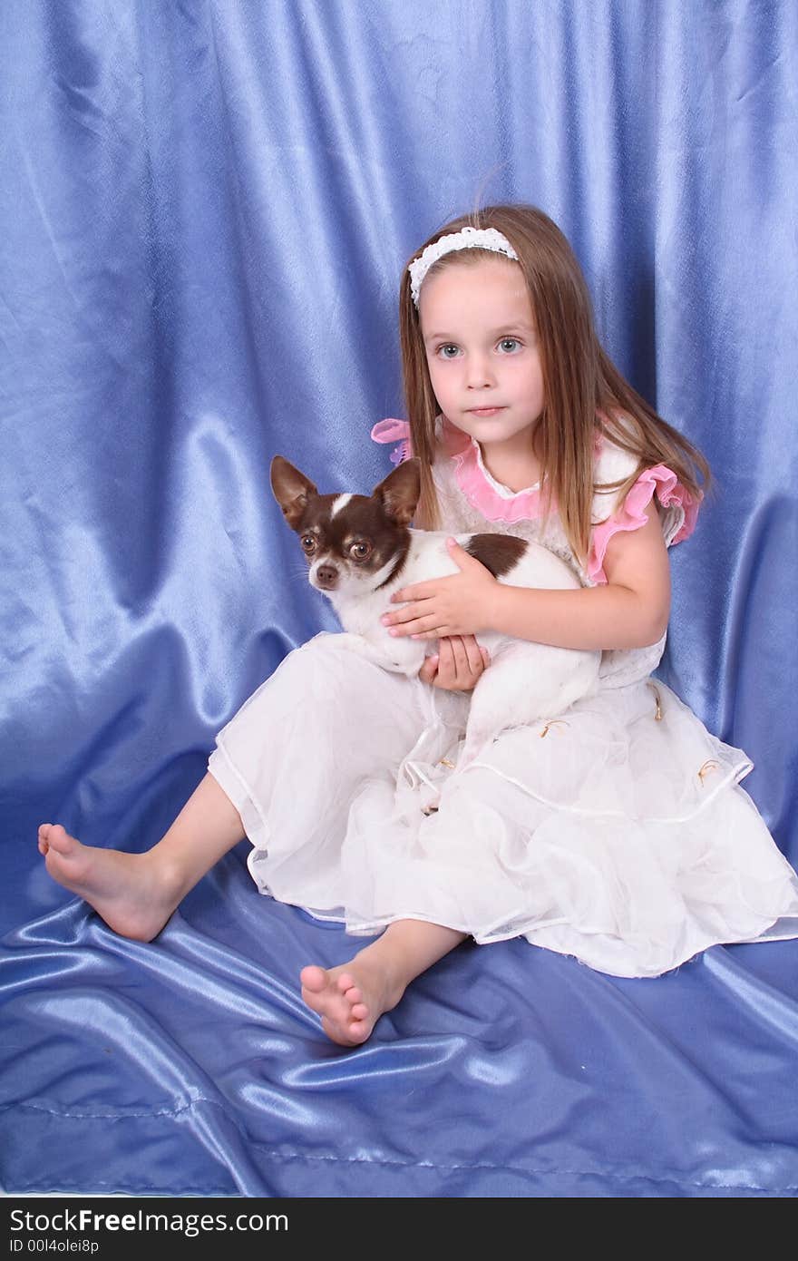 Young girl on the blue background with chihuahua. Young girl on the blue background with chihuahua