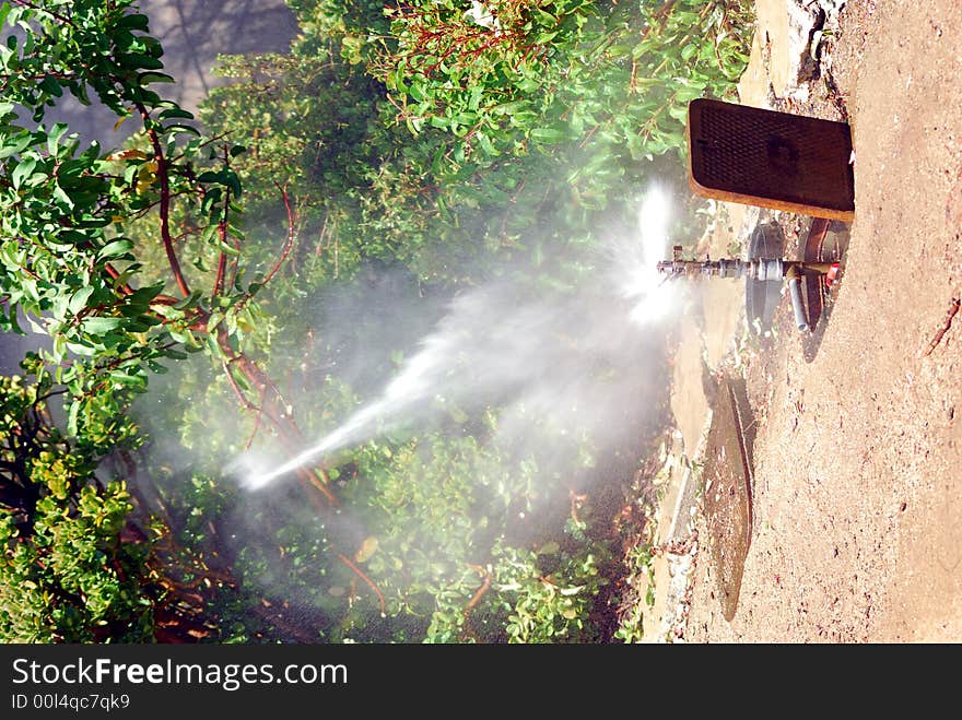 Sprinkler head spraying garden with intense force