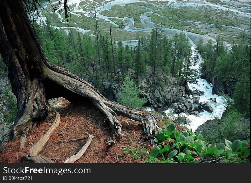 Mountain river going down in the forest