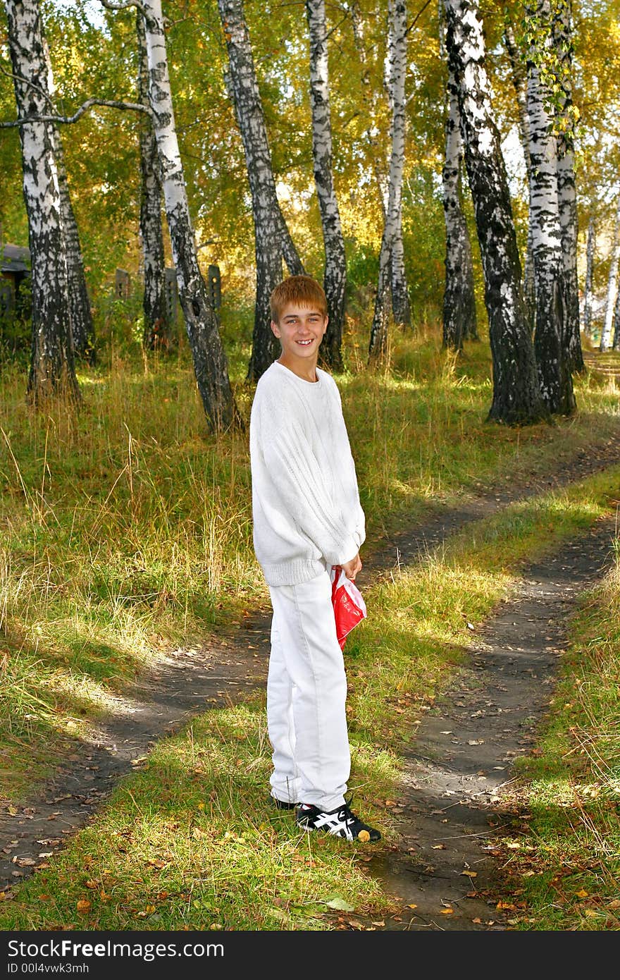 Boy in autumn forest stand on the road