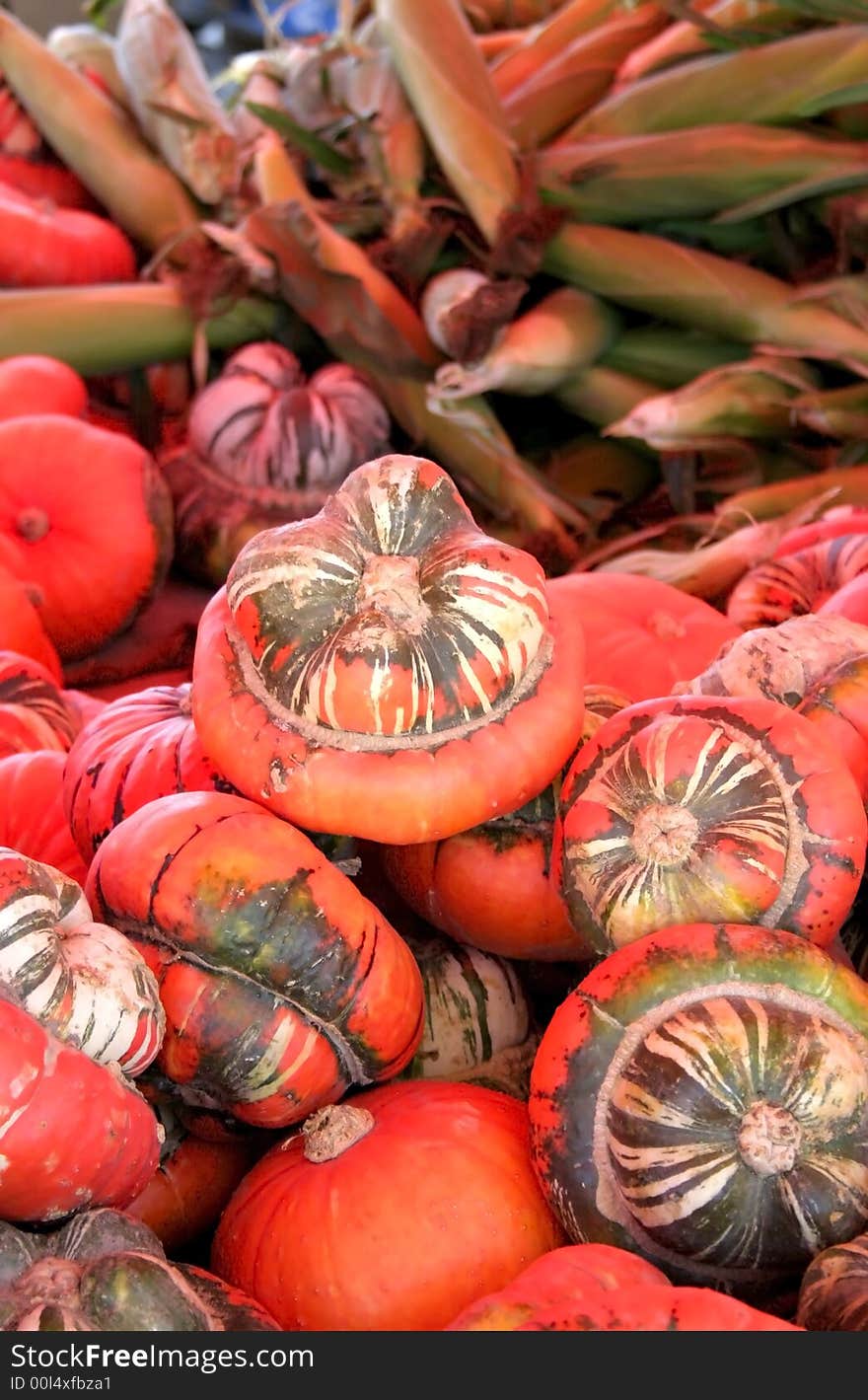 Pumpkins and corn in a pile waiting to be sold. Pumpkins and corn in a pile waiting to be sold