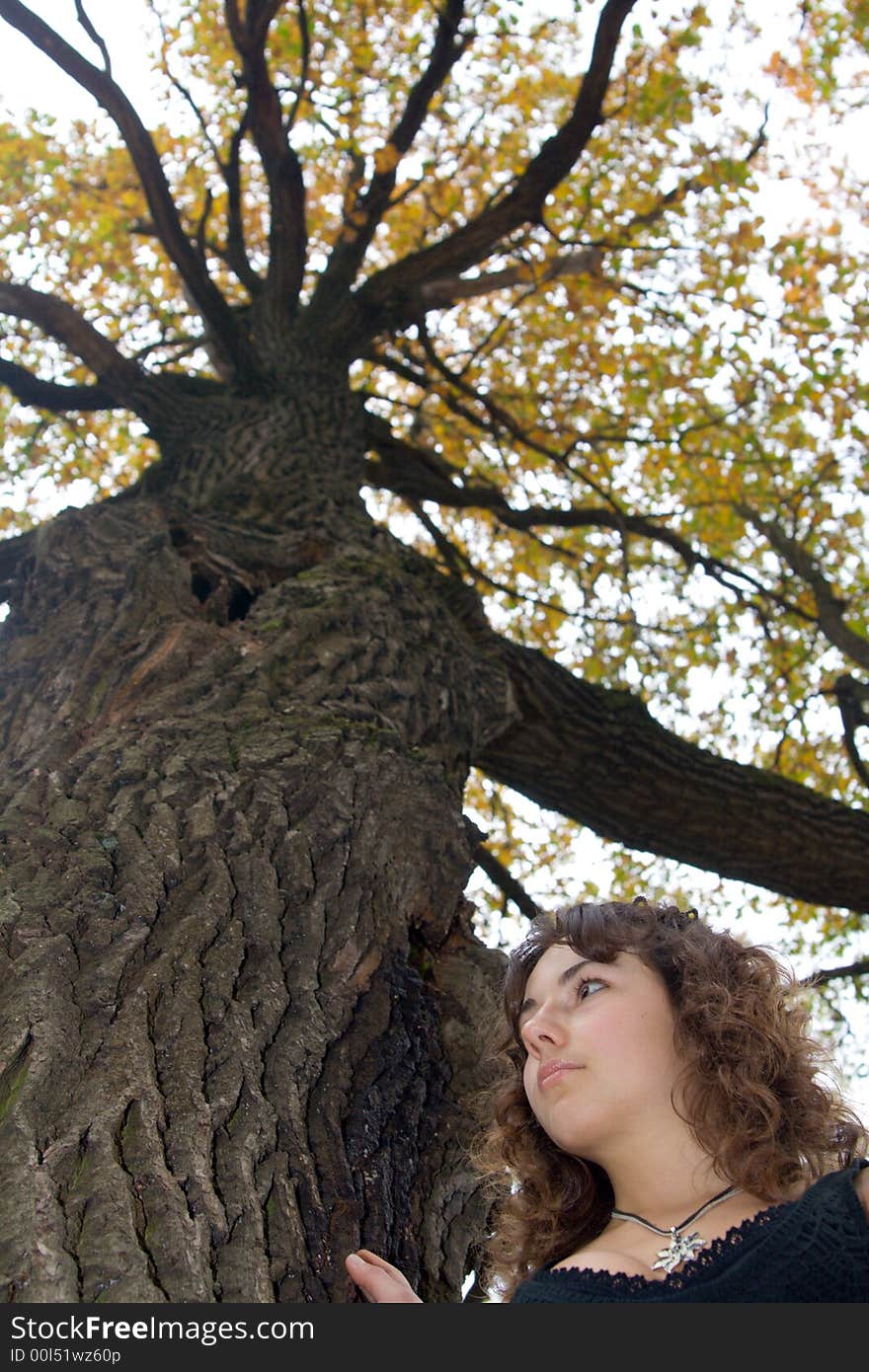 Face of girl standing near a tree at autumn park. Face of girl standing near a tree at autumn park.