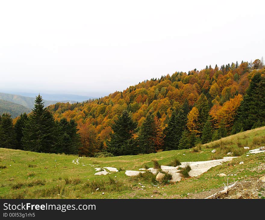 Autumn forest colors on mountain landscape. Autumn forest colors on mountain landscape