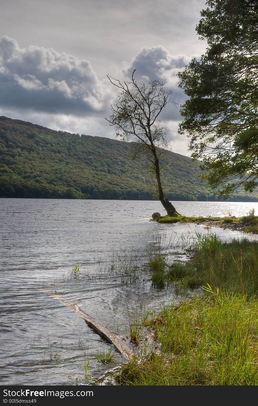 Coniston Water shore