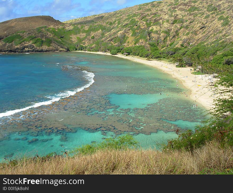 Snorkeling In Hawaii