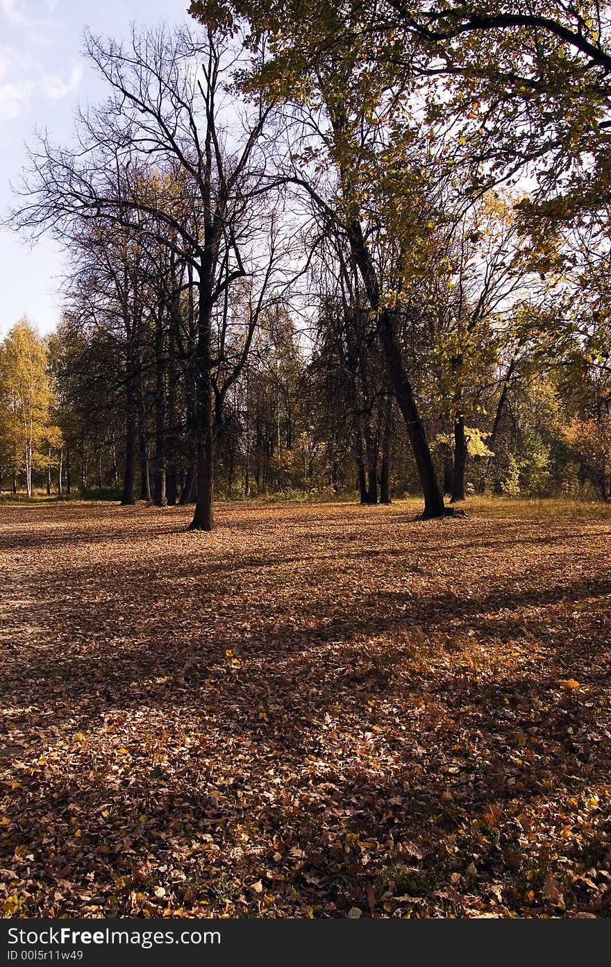 Moscow autumn