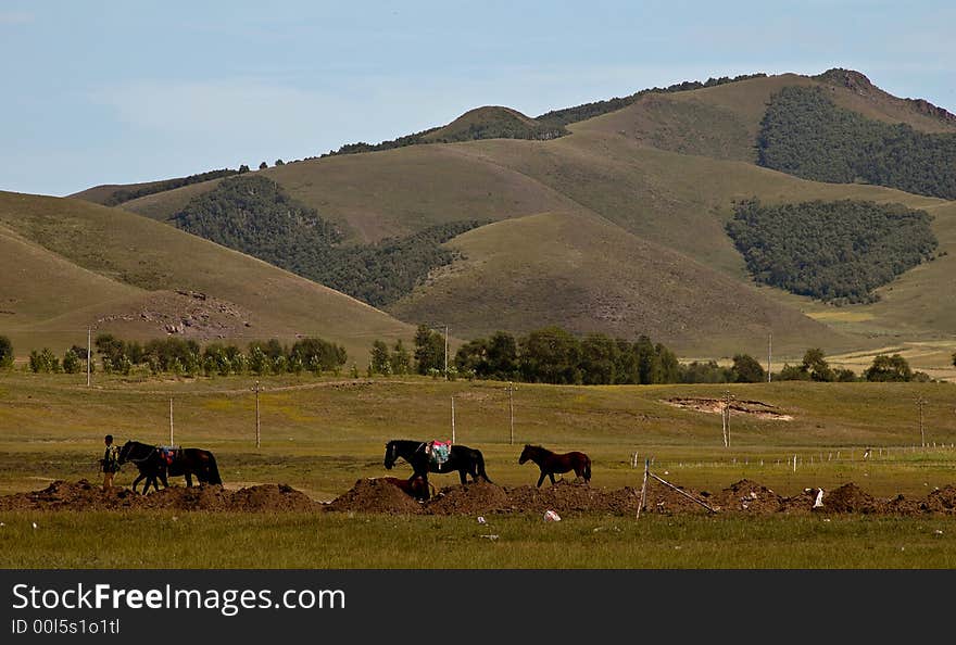 Hill Scenery