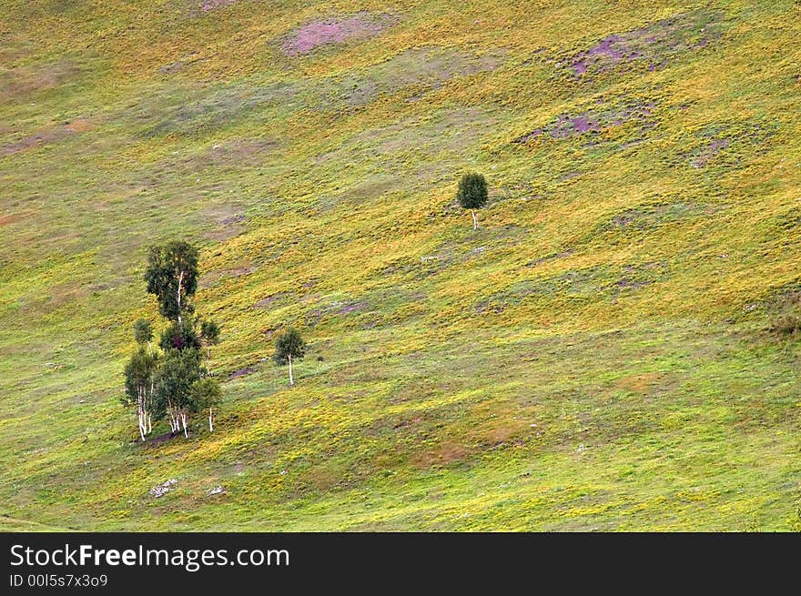 Hill scenery