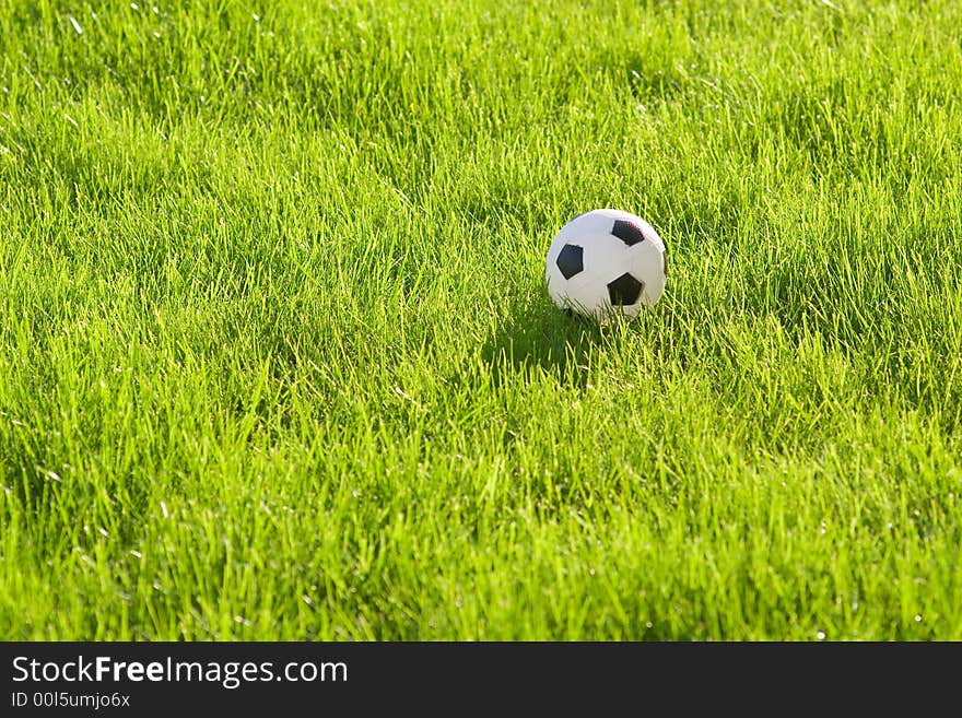 Toy Football On The Grass