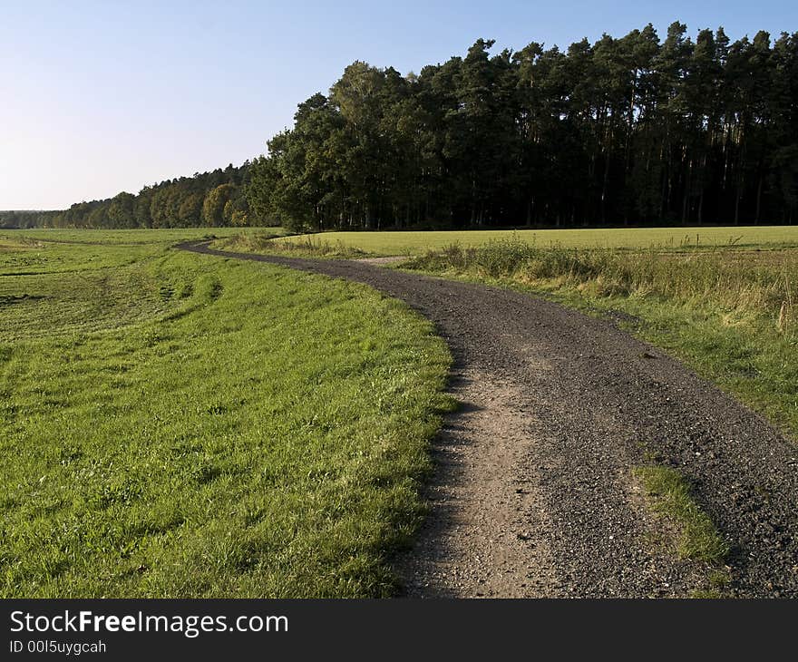 Path winding up to a forest through green meadows. Path winding up to a forest through green meadows