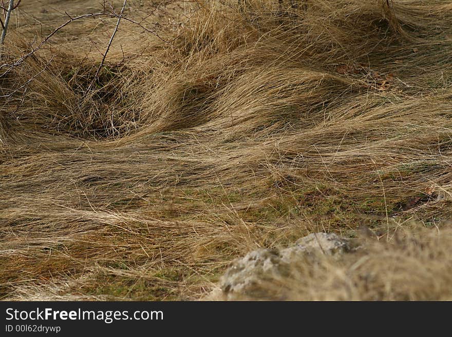 Mountain Grass