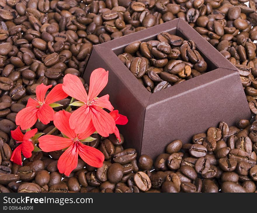 Coffee beans