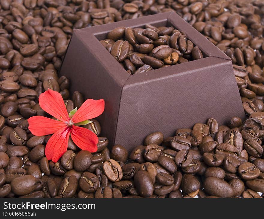 Coffee beans