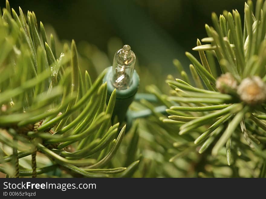 Christmas decoration with pine tree needles. Christmas decoration with pine tree needles