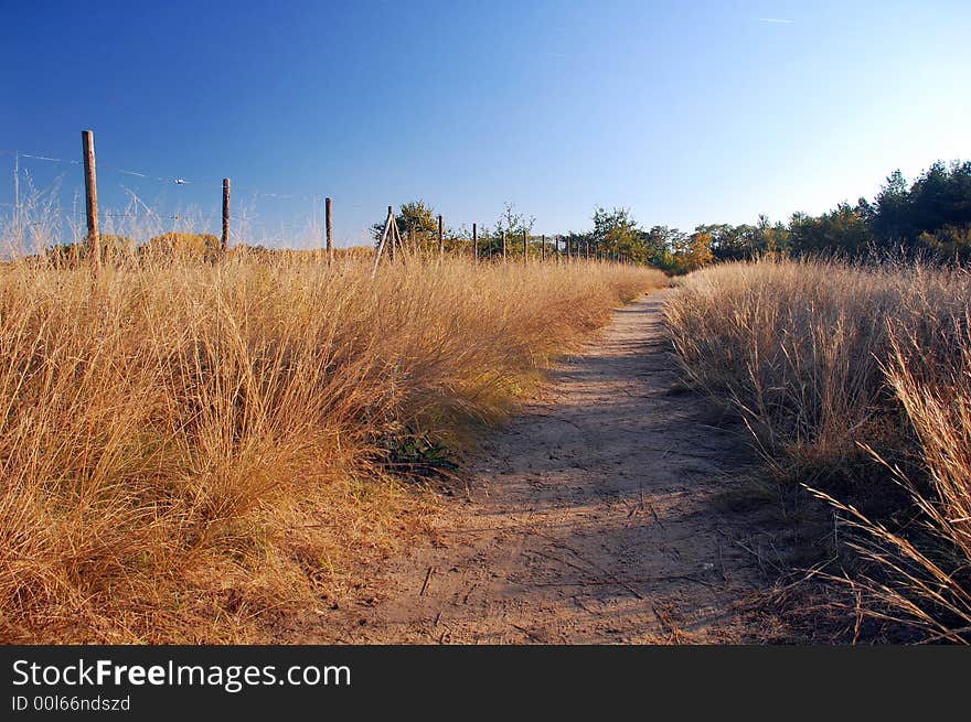 Picturesque Autumn Landscape O