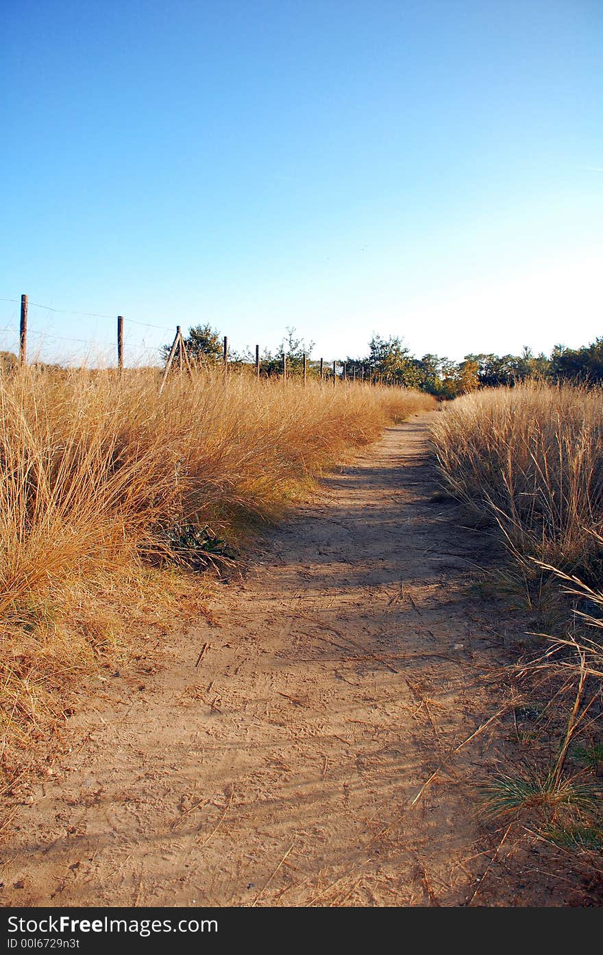 Picturesque autumn landscape o