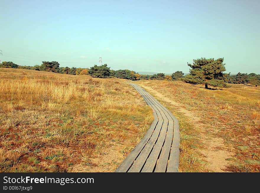 Picturesque autumn landscape o