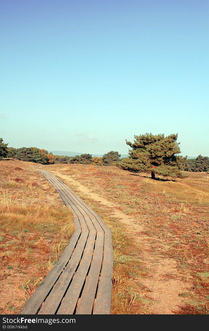 Picturesque autumn landscape o