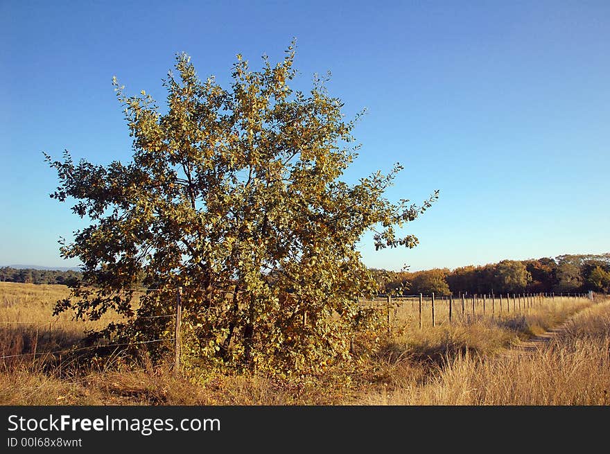 Picturesque autumn landscape o