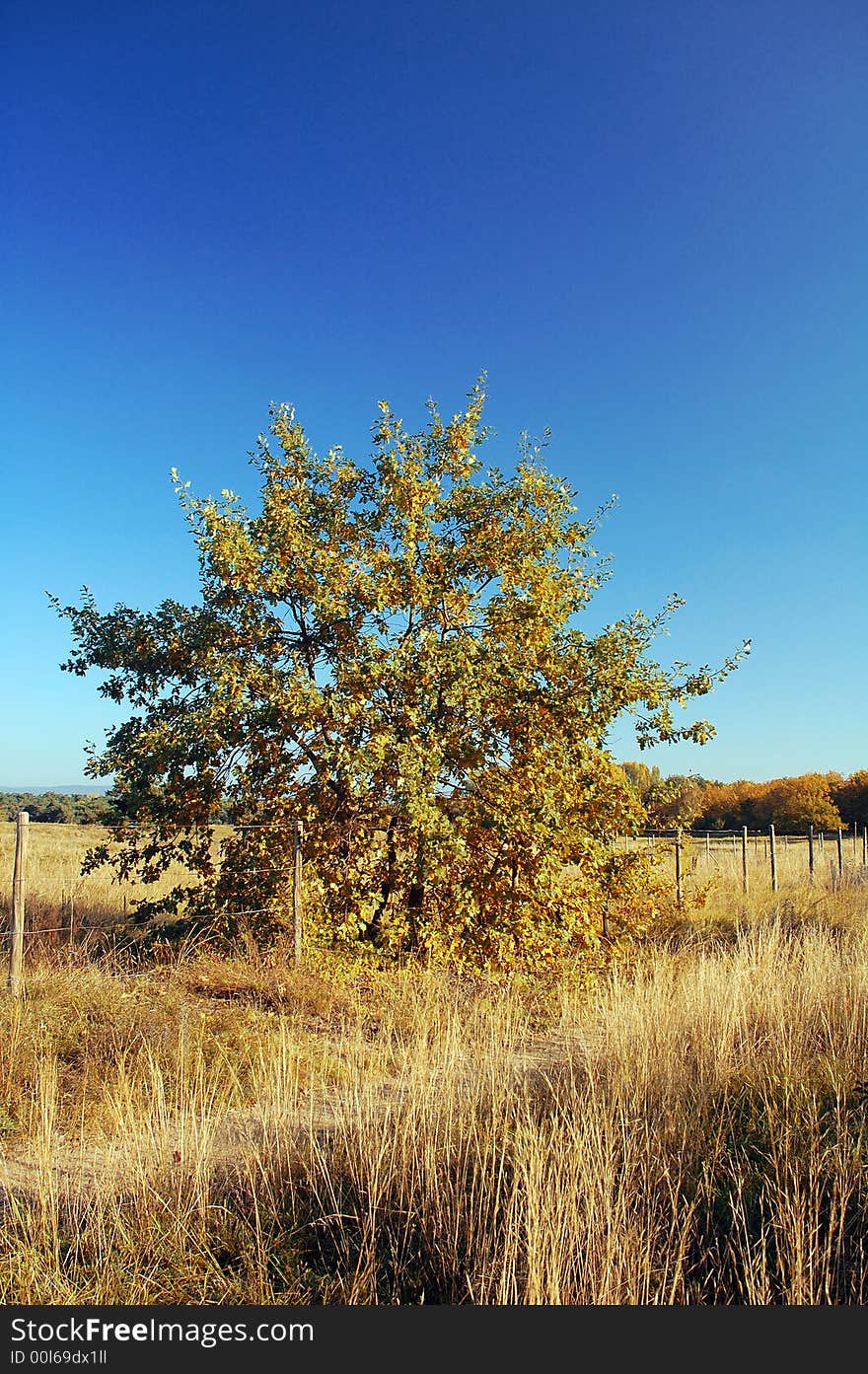 Picturesque autumn landscape o