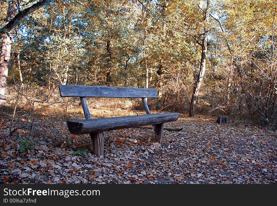 Picturesque autumn landscape o