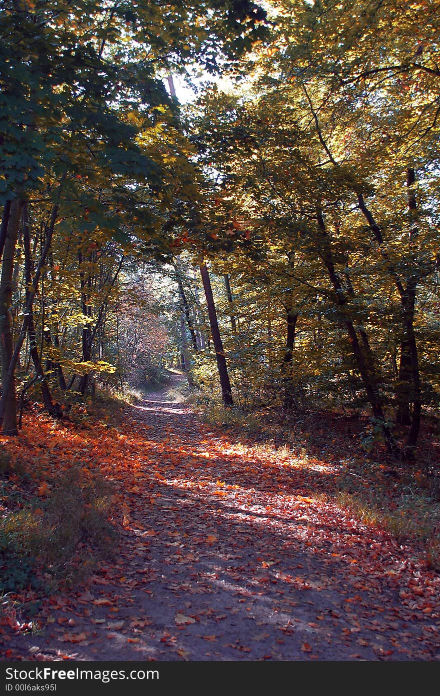 Picturesque autumn landscape o