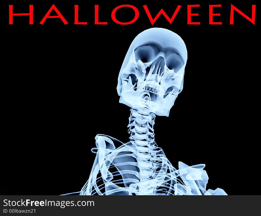 An image of an xray of a skeleton, a good Halloween or possible medical based image. An image of an xray of a skeleton, a good Halloween or possible medical based image.