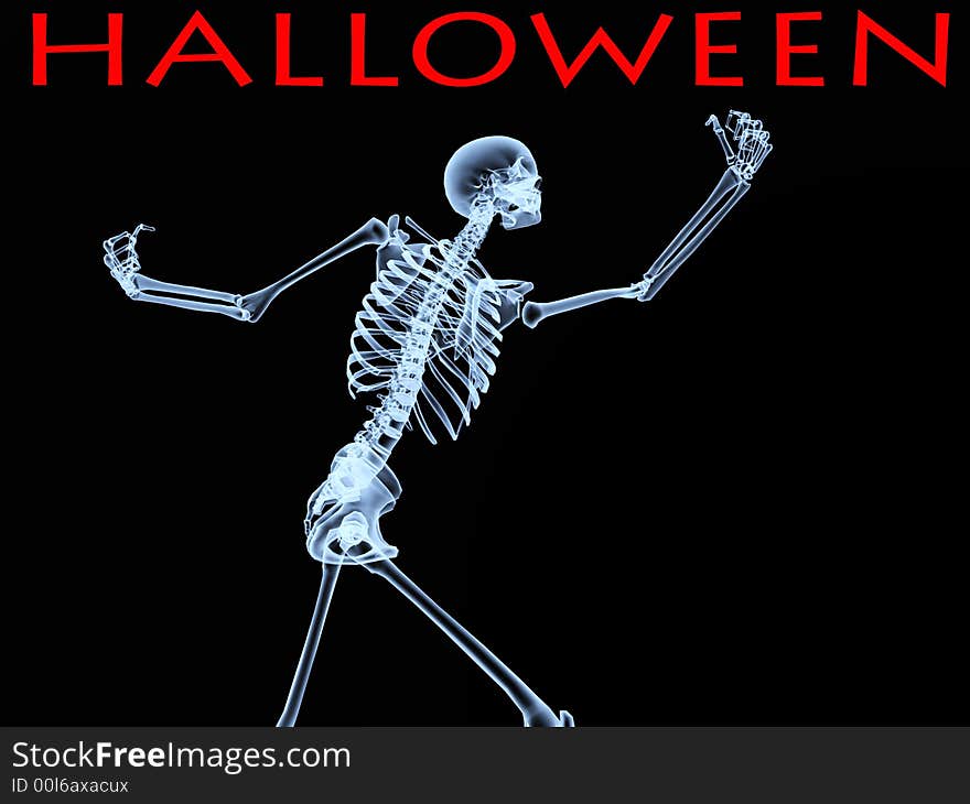 An image of an xray of a skeleton, a good Halloween or possible medical based image. An image of an xray of a skeleton, a good Halloween or possible medical based image.