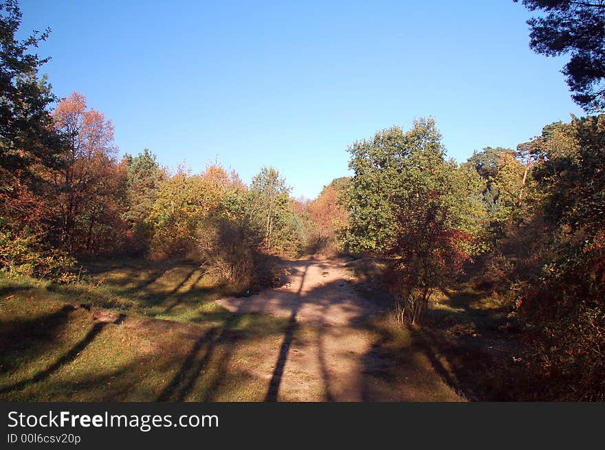 Picturesque autumn landscape o