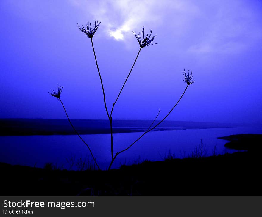 Blue hour of the lake