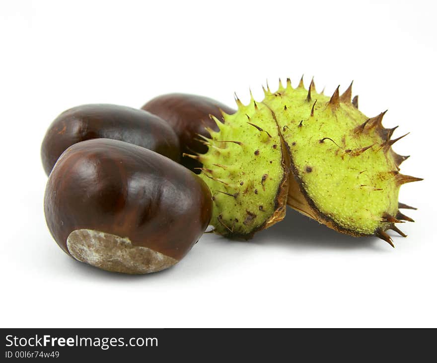 Three chestnuts with shell. Isolated on white. Three chestnuts with shell. Isolated on white.