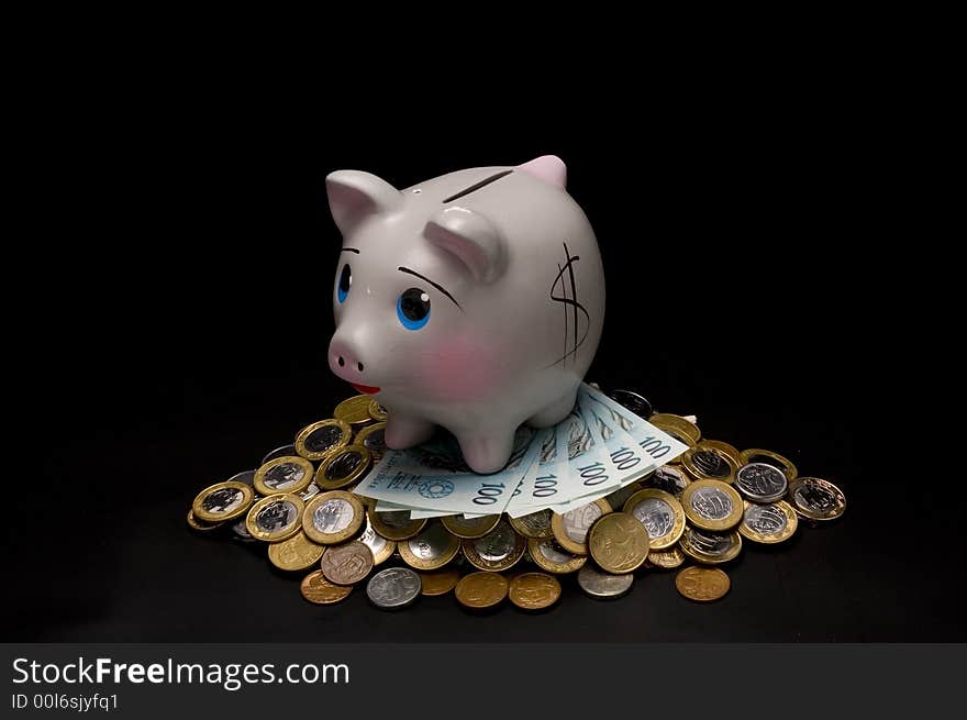 Piggy Bank with money