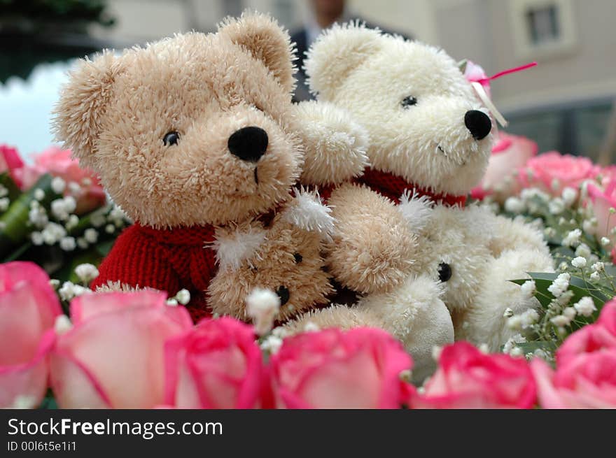 Rose around the doll bears. Rose around the doll bears