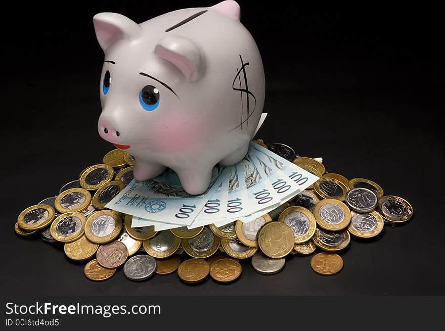 Piggy Bank with money