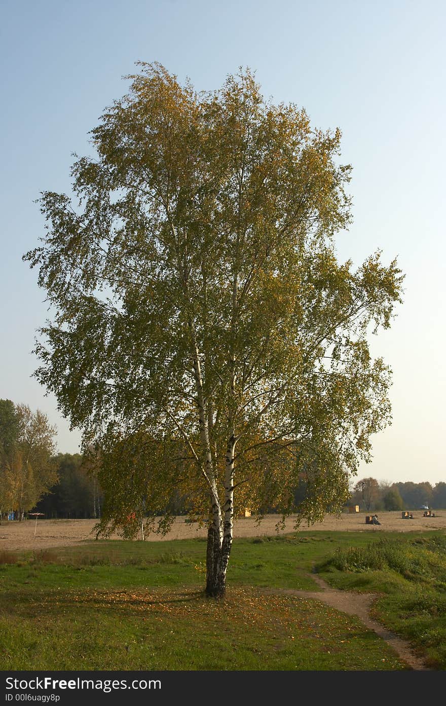 Autumn, leaf fall, the nature withering