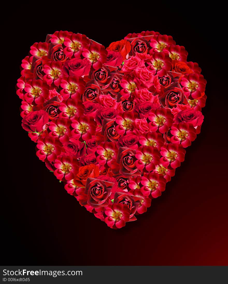 Red heart made from roses for wedding or valentin's day. Red heart made from roses for wedding or valentin's day