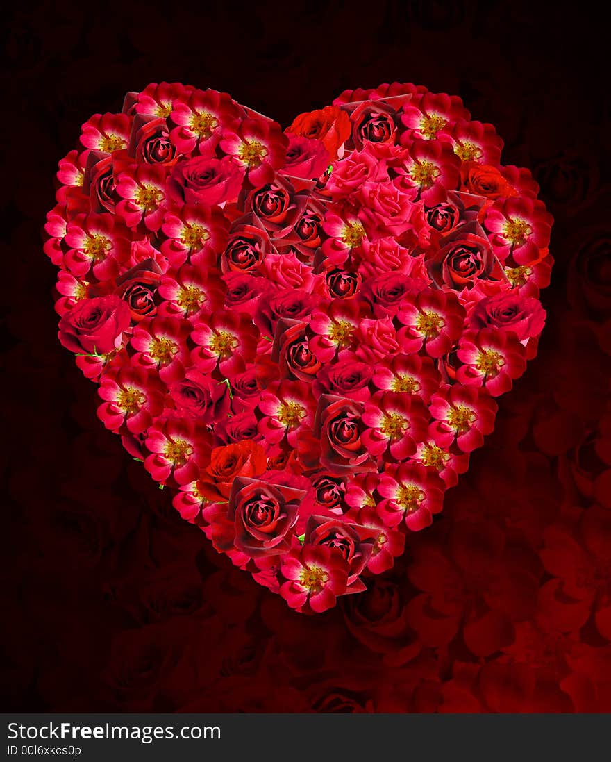 Red heart made from roses for wedding or valentin's day. Red heart made from roses for wedding or valentin's day