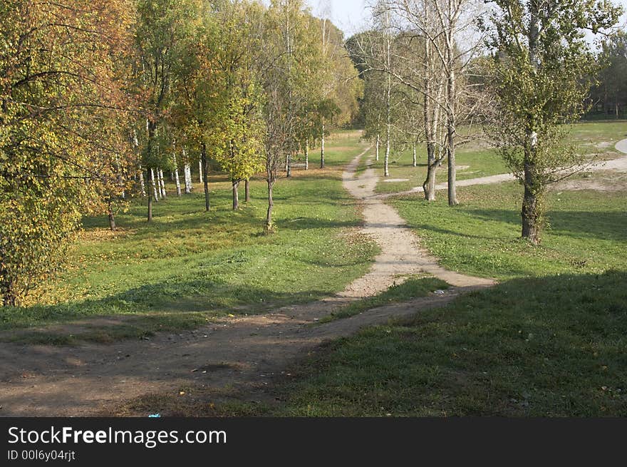 Autumn, leaf fall, the nature withering