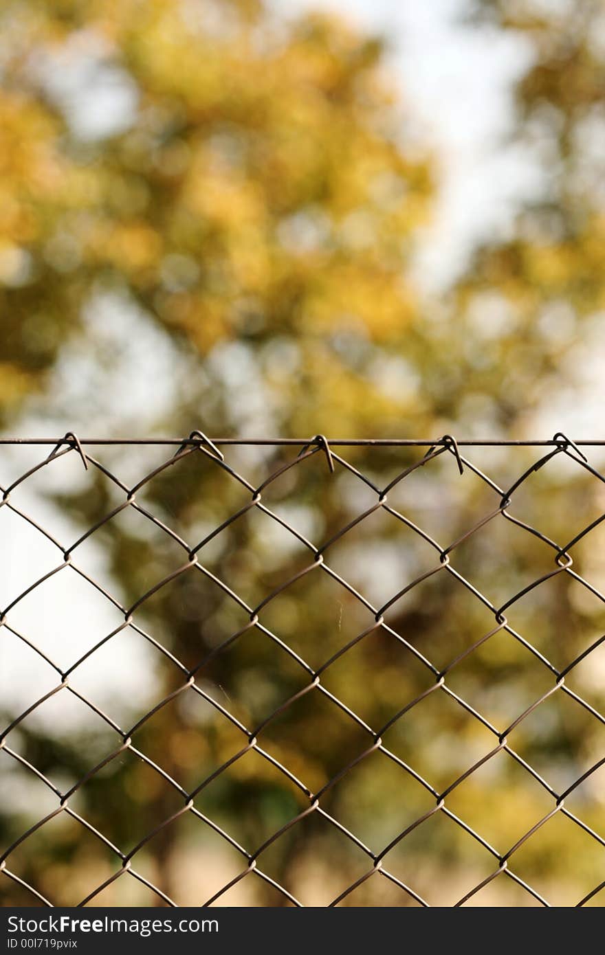 Texture, background of wire netting. Texture, background of wire netting