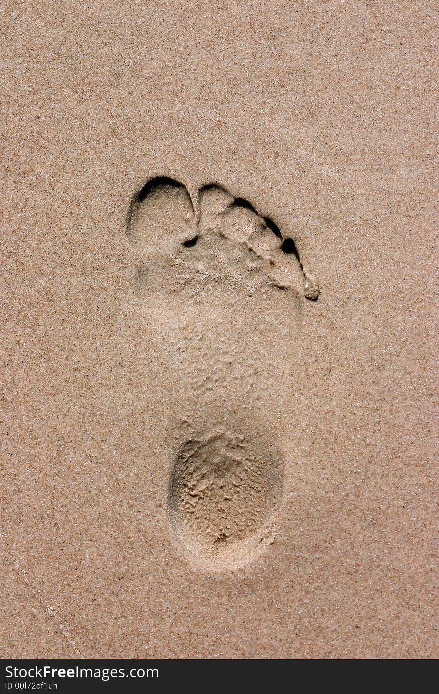 Single footprint on the beach sand with copy space