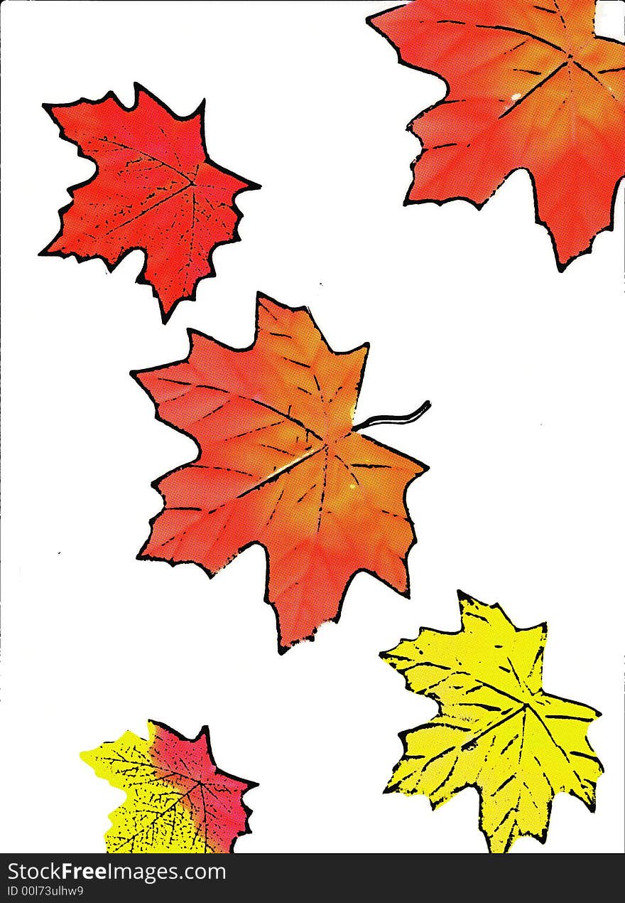 Illustration I did of leaves in fall colors for background or design