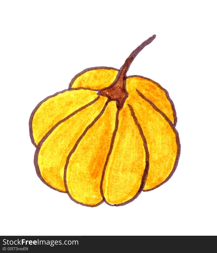 Pumpkin Illustration