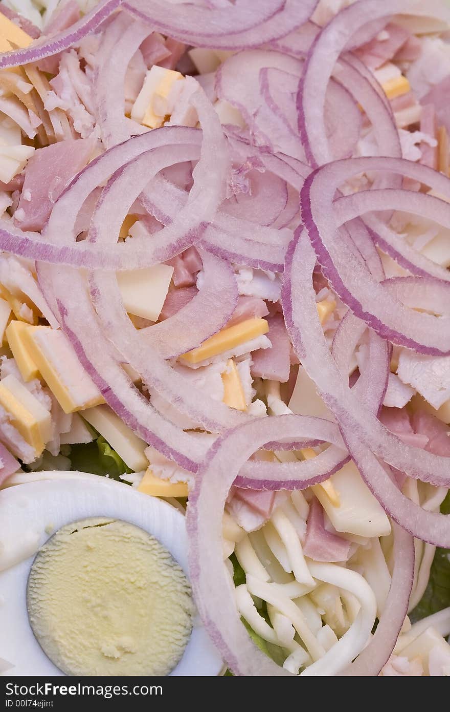 Macro shot of a dinner salad with tons of red onions. Macro shot of a dinner salad with tons of red onions