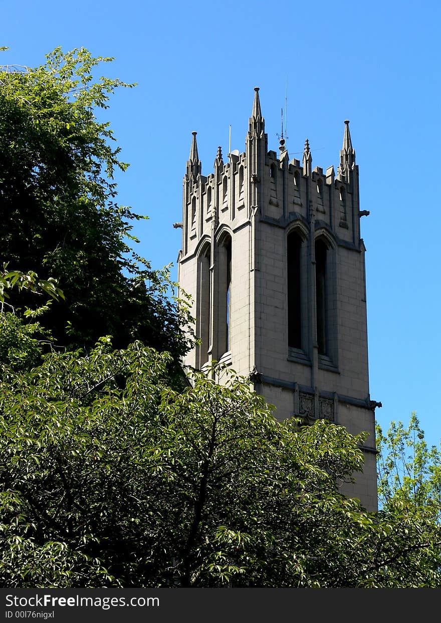 Trees and Steeple