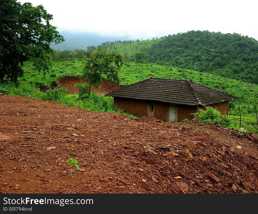 A beautiful village house in the greenery. A beautiful village house in the greenery.