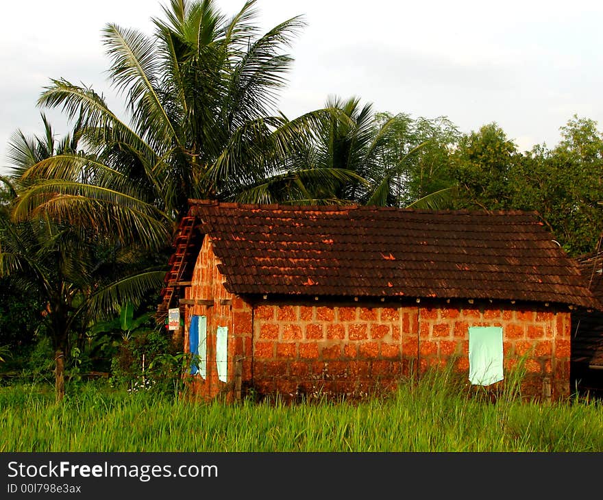 Beautiful Village House-III