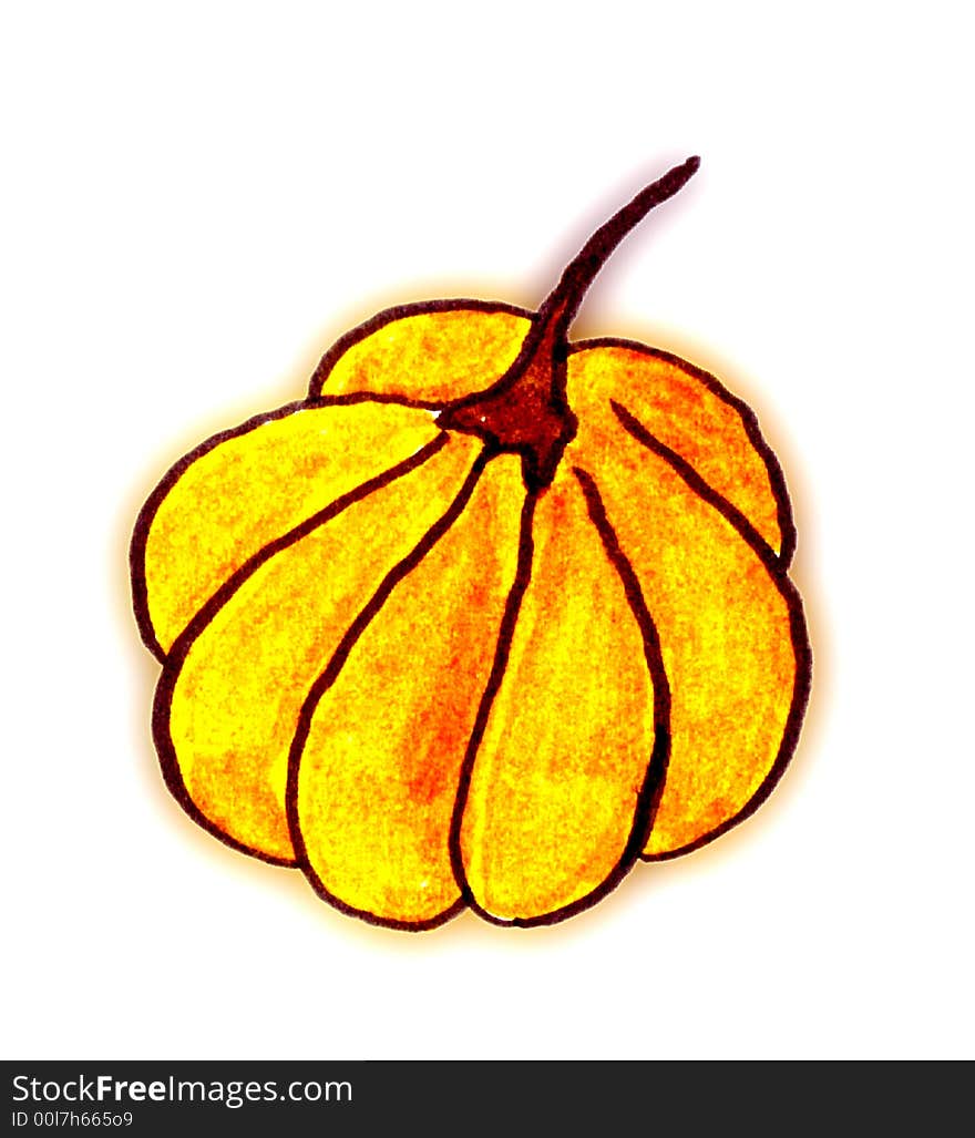 Pumpkin Illustration