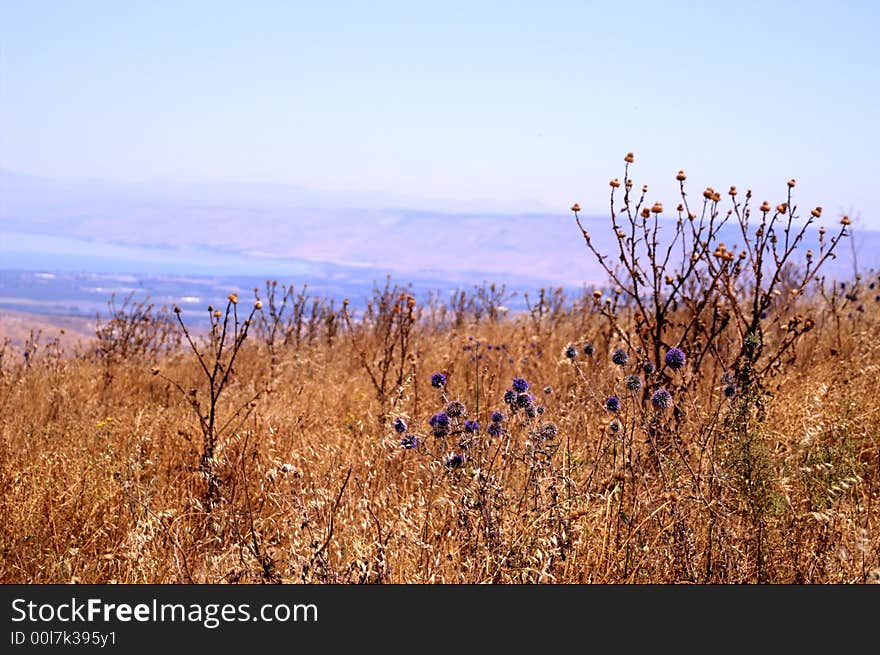 Mountains and nature in Galilee, Israel - travel vacation in  Middle East. Mountains and nature in Galilee, Israel - travel vacation in  Middle East